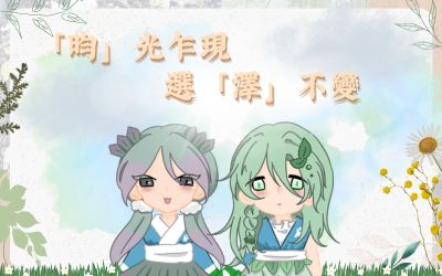 照片3
